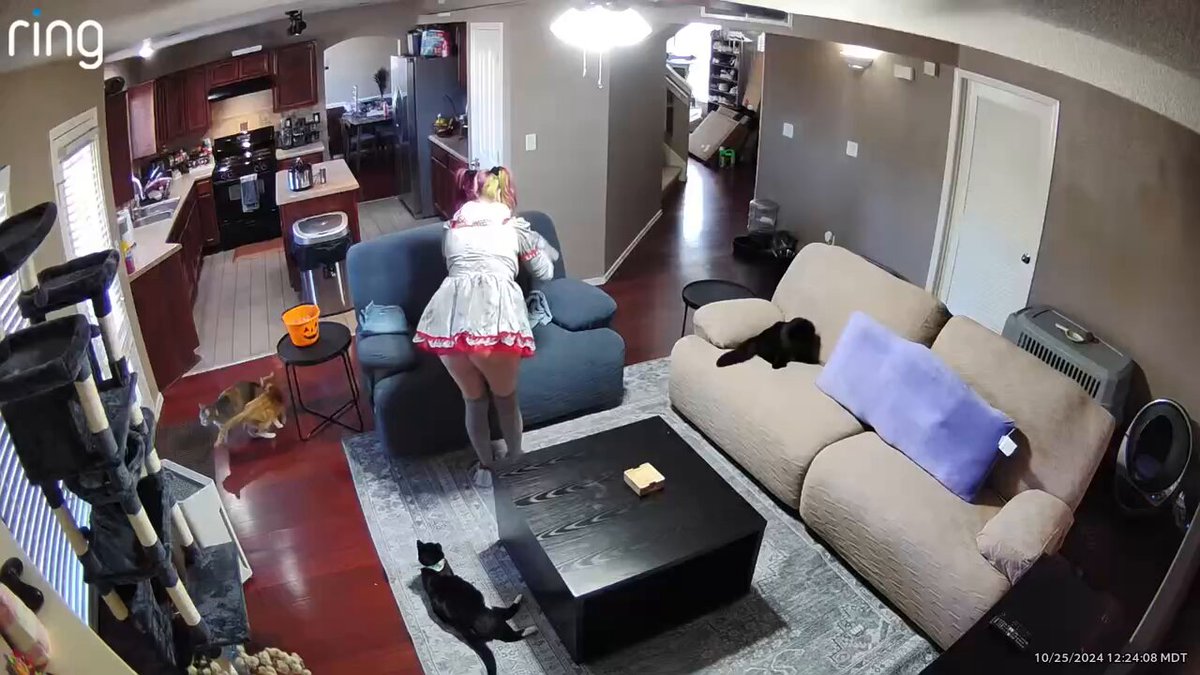 crazy trick-or-treater breaks into house after getting roasted 😭 https://t.co/Gu65UJ6rZA