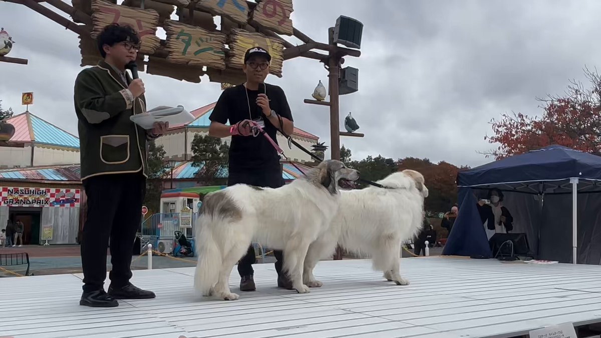 今日のルンルン