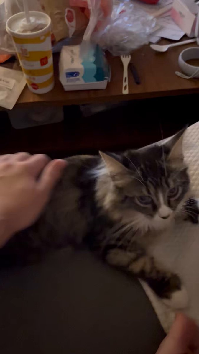 レジン　NO.133 ♡おすまし猫ちゃん♡素敵でしょ? レジンNO.133 ♡おすまし猫ちゃん♡素敵でしょ?