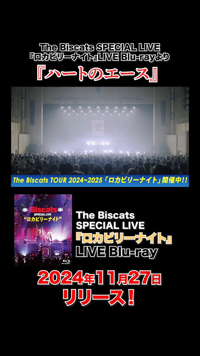 ♪♤Rockabilly night !!1992年ビラ♢♪ ♪♤Rockabilly night !!1992