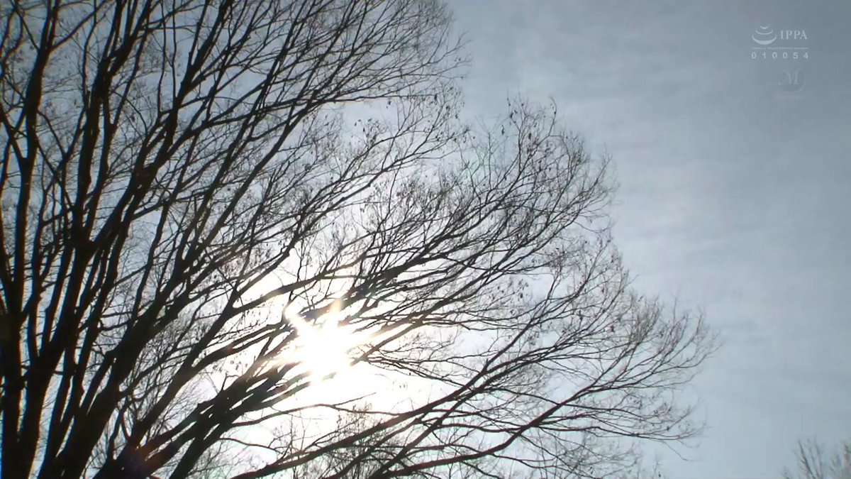 Video oleh @chakplernth