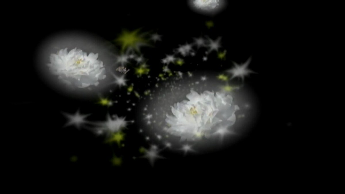 Twitter Image