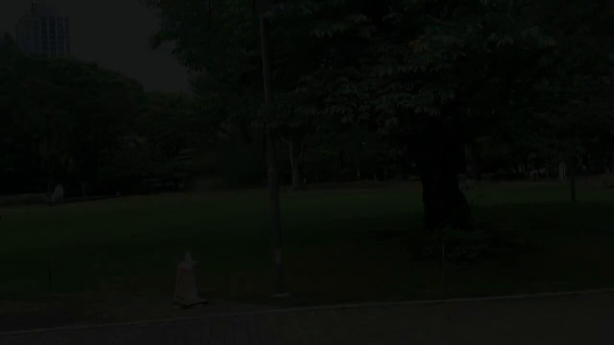 Twitter Image