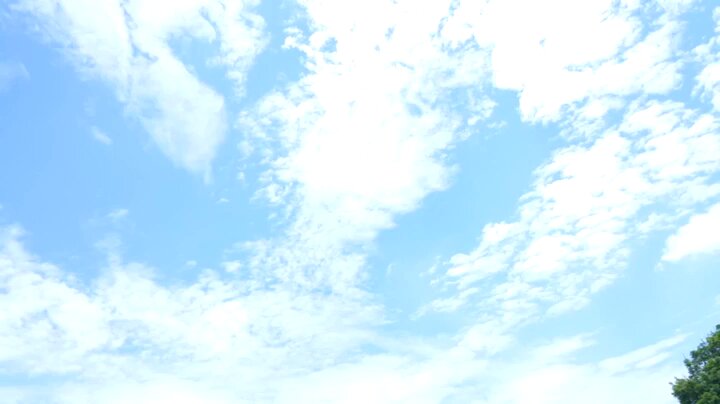 Twitter Image