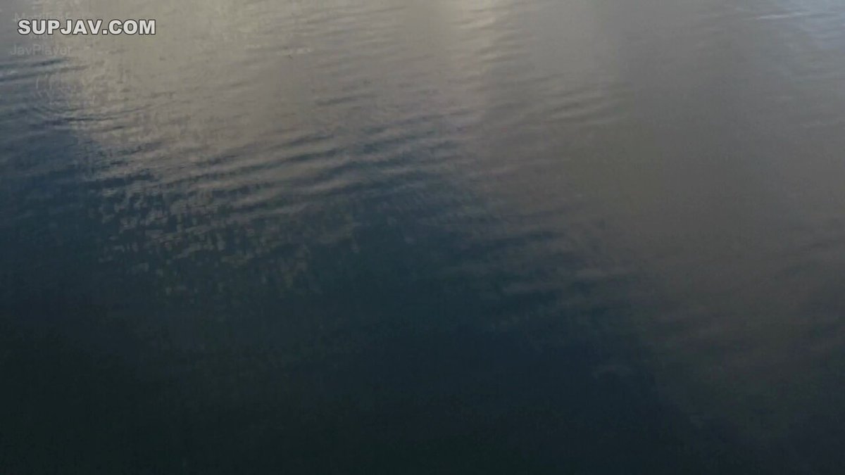 Twitter Image