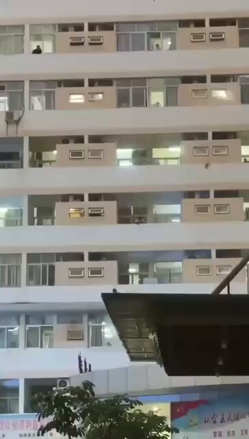 Embedded video