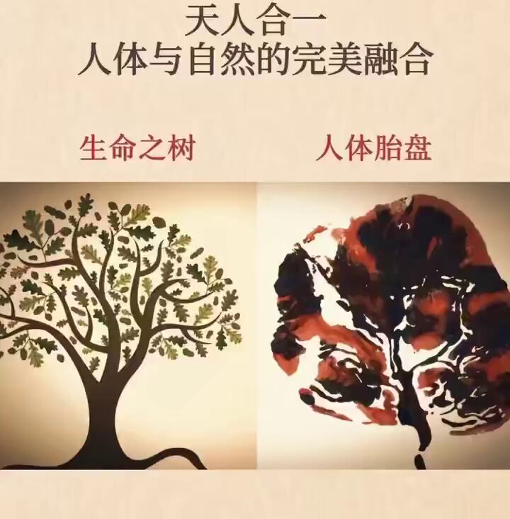 让我们开阔眼界，从这一角度去认识创世主的伟大吧！人体有365个穴位， 一年刚好365天。人体有四肢， 一年有四季。人体有12条经络， 一年刚好12个月。脊椎有24节， 一年刚好24个节气。人有7窍， 一个星期有7天。转 