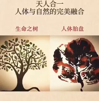 让我们开阔眼界，从这一角度去认识创世主的伟大吧！人体有365个穴位， 一年刚好365天。人体有四肢， 一年有四季。人体有12条经络， 一年刚好12个月。脊椎有24节， 一年刚好24个节气。人有7窍， 一个星期有7天。如果你知道更多，欢迎留下你的笔记。🙏 
