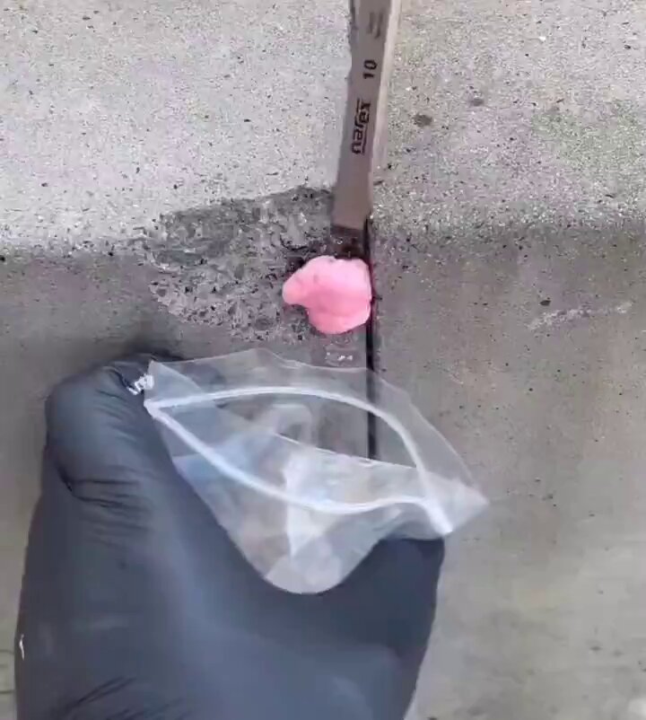 Send him to jail immediately 