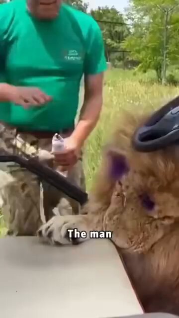 The power of a sandal 