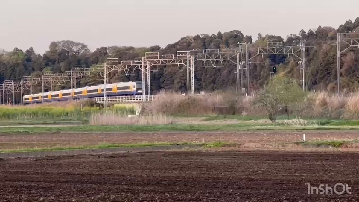 ぶんぶん丸【公式】【硬式】【肛式】【ギンギン