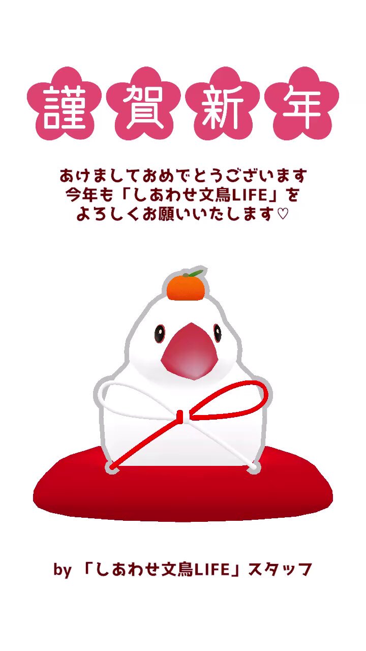 リピーター様⭐︎むつ文鳥 Amazon.co.jp: DESIGNPHIL ミドリ 付せん紙 ひみつ 文鳥柄