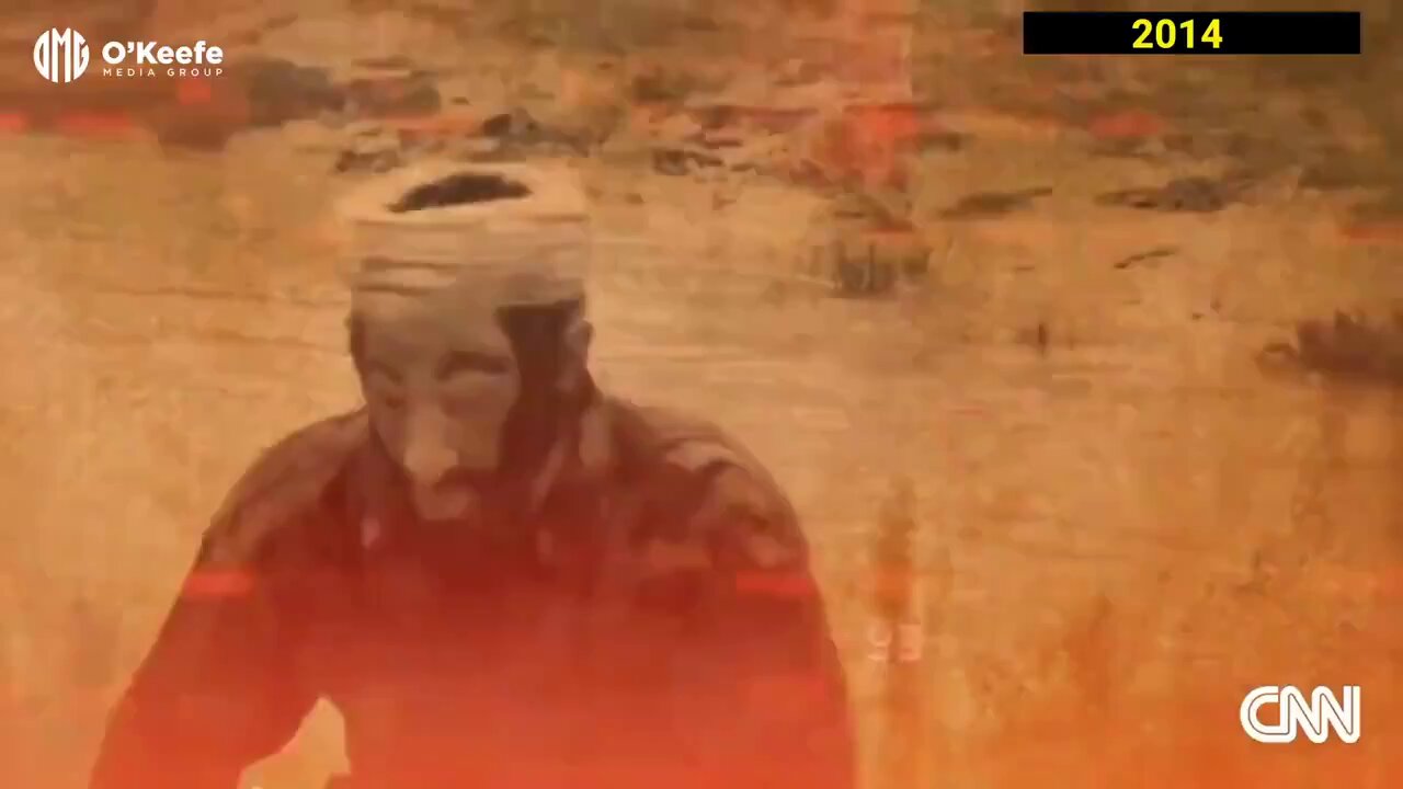 Wall Street Apes (@WallStreetApes) on X