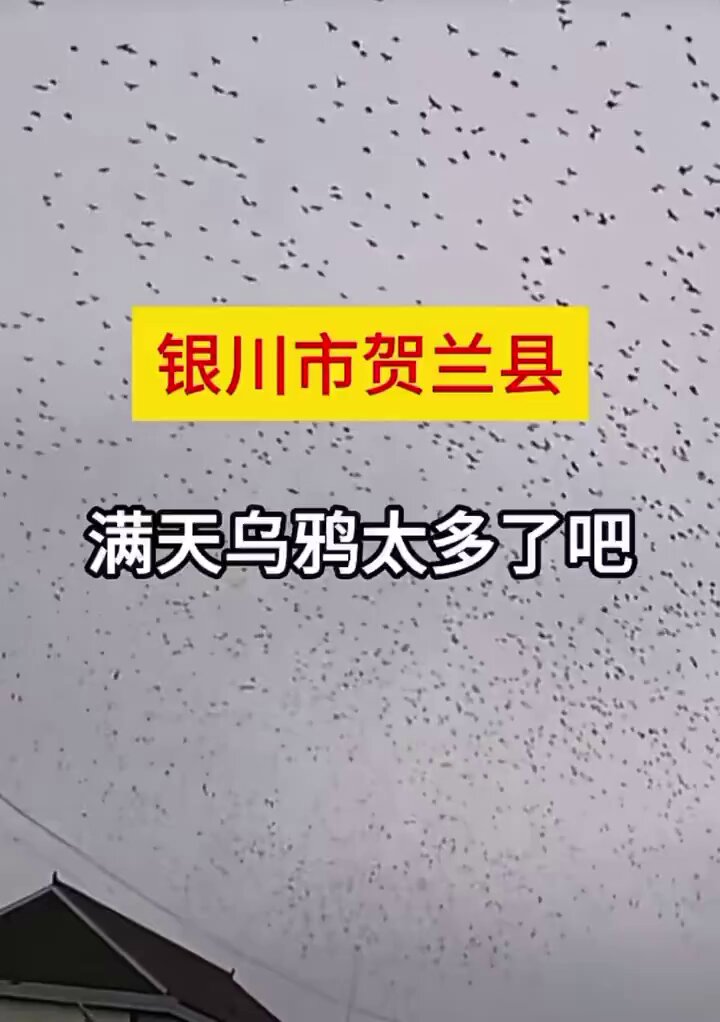 銀川地震後，滿天烏鴉

銀川還有大地震？地下有核設施？數百萬人大逃亡，銀川一夜空城；1天地震11次，震前曾有轟隆聲；疫情十月已傳播？這個病毒太狡猾
【新聞看點 李沐陽1.3】 👉… 
