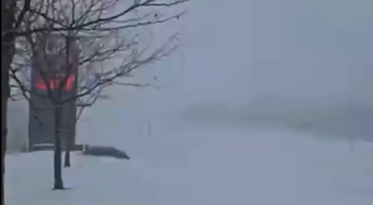一場特大降雪的強暴風雪降臨美國：可能成為近10年來最猛烈的暴風雪——CNN

在堪薩斯州，道路已經結冰，而在鄰近的密蘇里州，預計氣溫將降至-29°C，

預報員預計將出現暴風雪、結冰、電力和交通中斷，同時，陣風可達65公里/小時。 