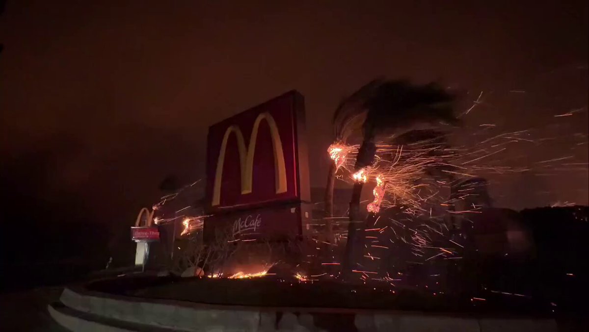 The wind in LA is terrifying 