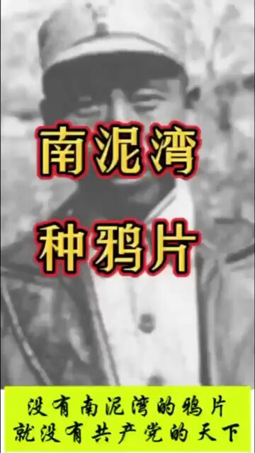 🔥原来南泥湾种的是鸦片，中国人是在谎言中长大的。尤其这首歌被彭大妈一唱，人们只顾欣赏歌曲了，就被潜移默化的洗了脑。 