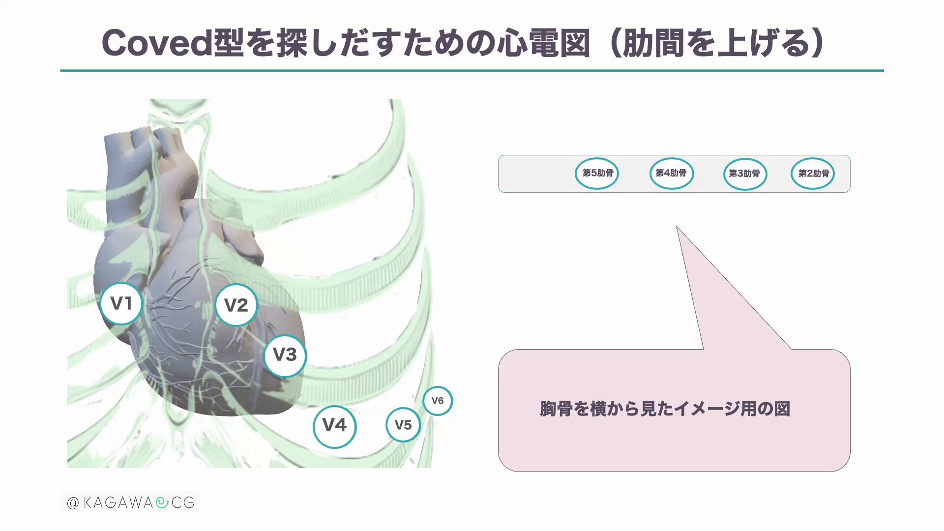 Ｂｒｕｇａｄａ症候群 病態解明から診断・治療指針の決定/メジカルビュ-社/鎌倉史郎（単行本） B+_1152x648.png