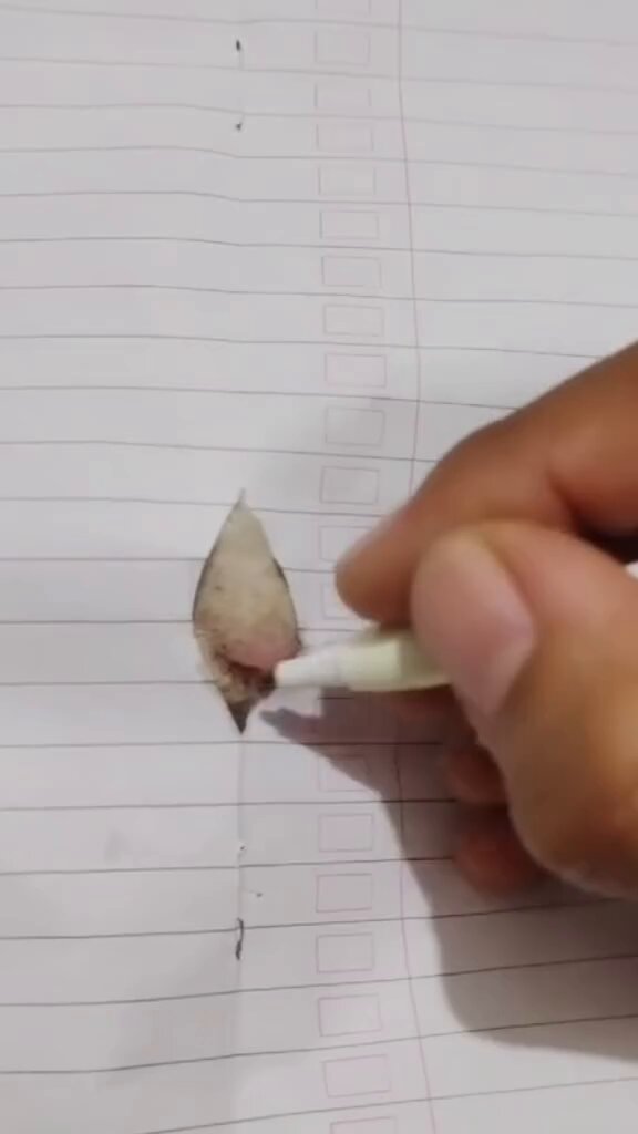 3D cat 🐈 