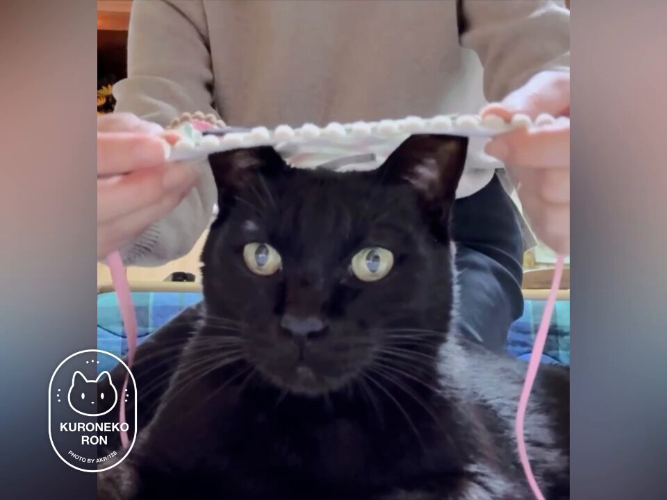 超美品 楽天市場】baggu バグー 猫の通販 バッグ - バッグ