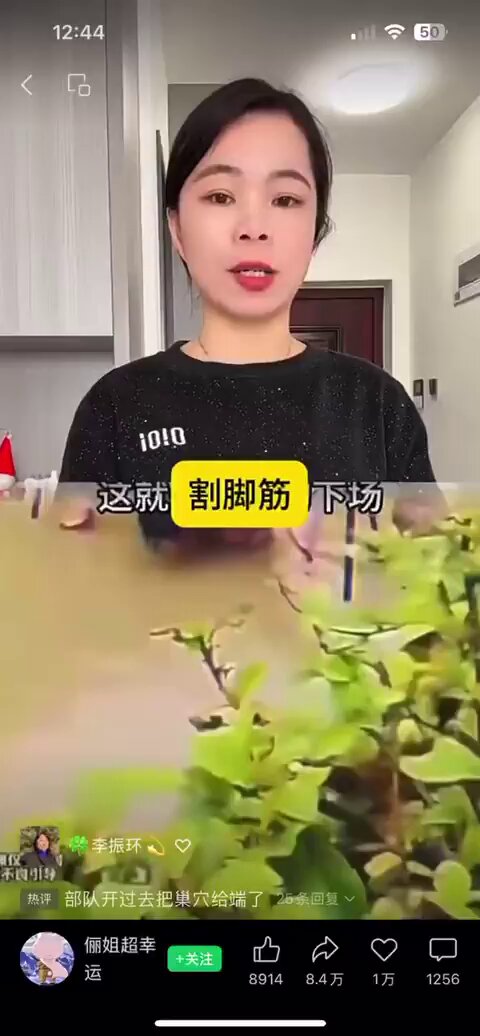人间地狱。国际社会应该高度重视。否则，这种灭绝人性的兽行就会像病毒一样在全世界传开。 