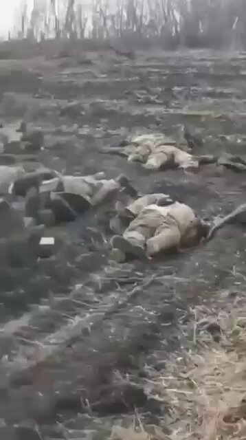 支持烏克蘭不是親美，不是和俄羅斯作對，是反對強權就是公理、捍衛基本正義。 