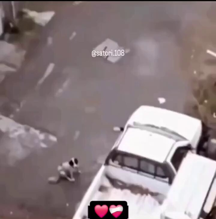 Look at the mother's joy after he saved her babies. ❤️❤️

This is a very valuable feeling in the world. 