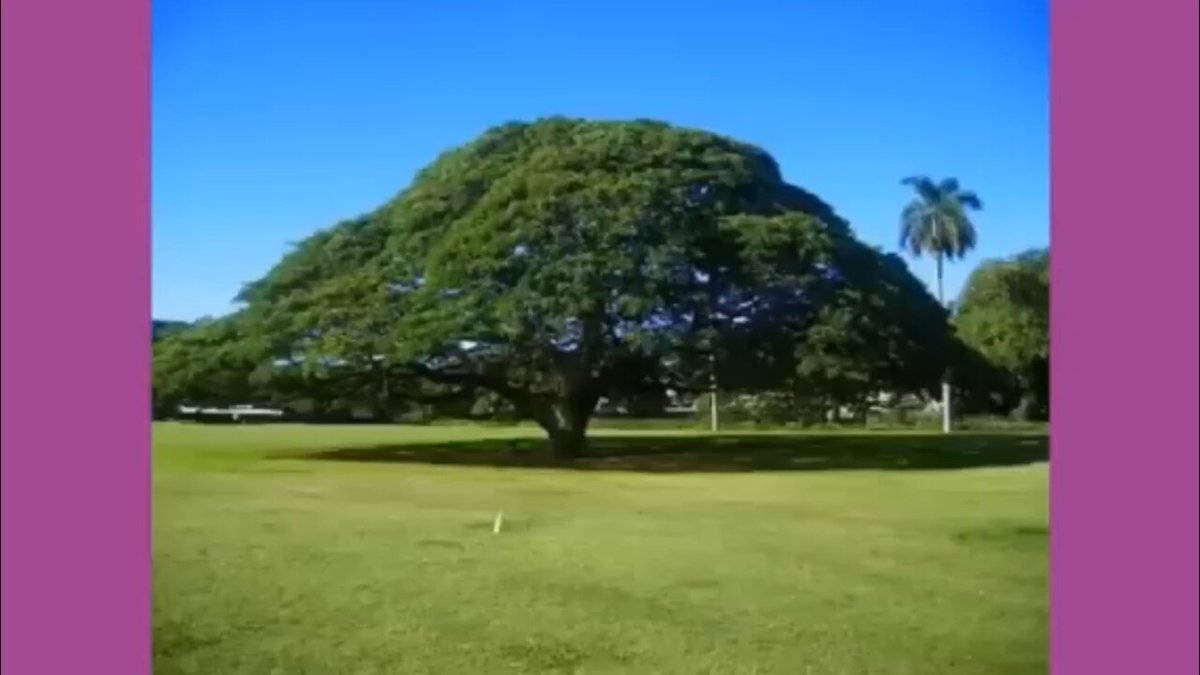 Twitter Image