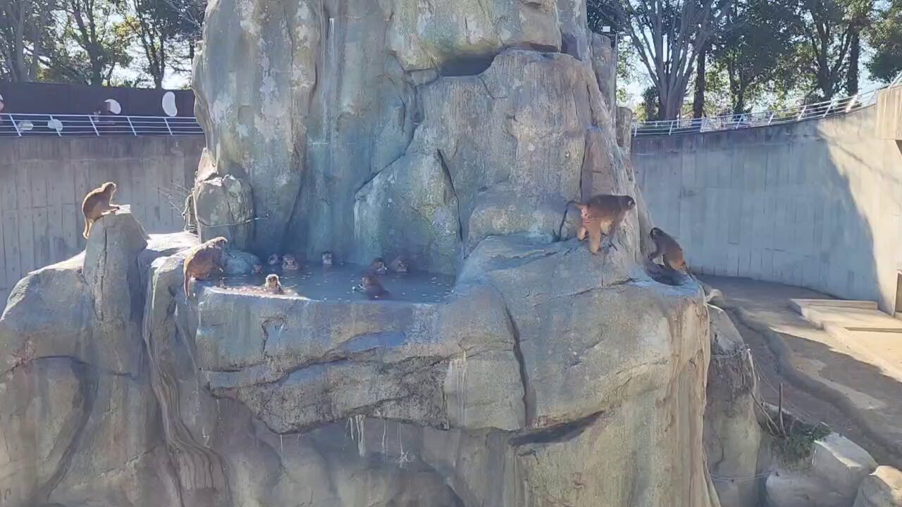 東武動物公園【公式】リュウくん on X: 
