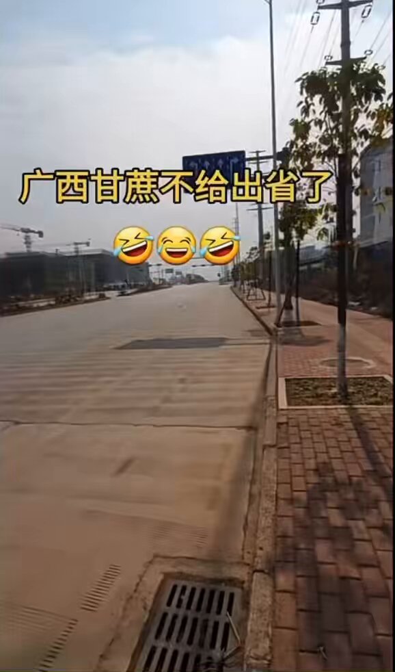 2025/1/19/发布，中共广西政府垄断甘蔗，不允许买到外省，必须卖给中共的国营糖厂！ 