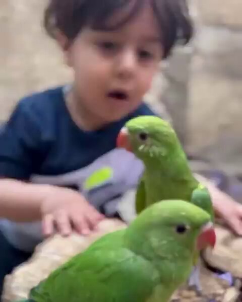Tweet media two