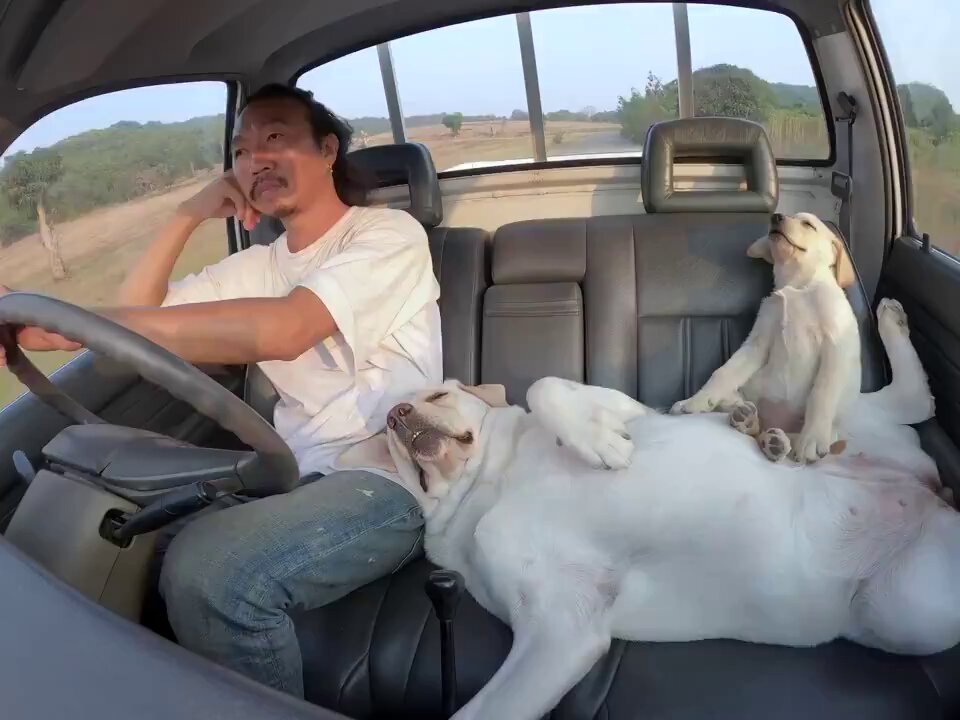 This is the "chill life" we desire 