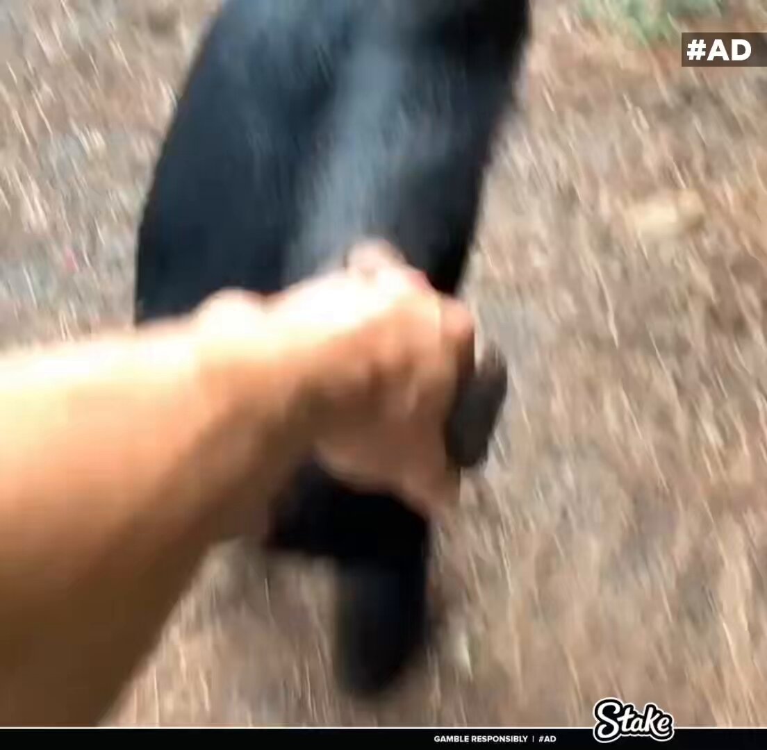 This chimp helping a guy up is still one of my favorite videos ever 