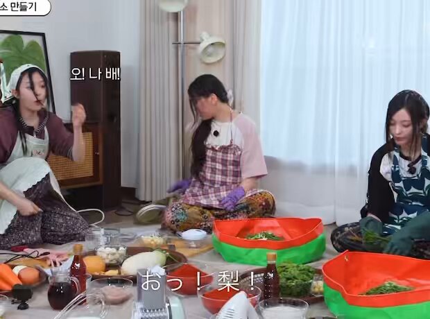 🐰🦭🍞 (@Ha_niBunnies) / X