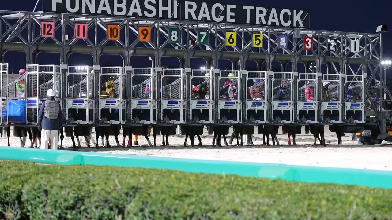 船橋ケイバ on X: 