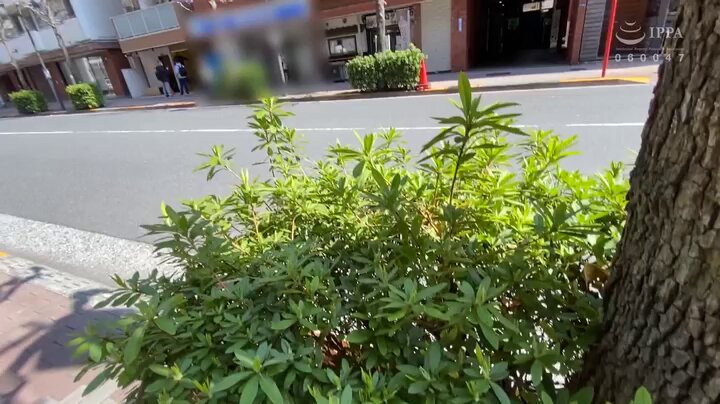 （仮）暗黒061さん