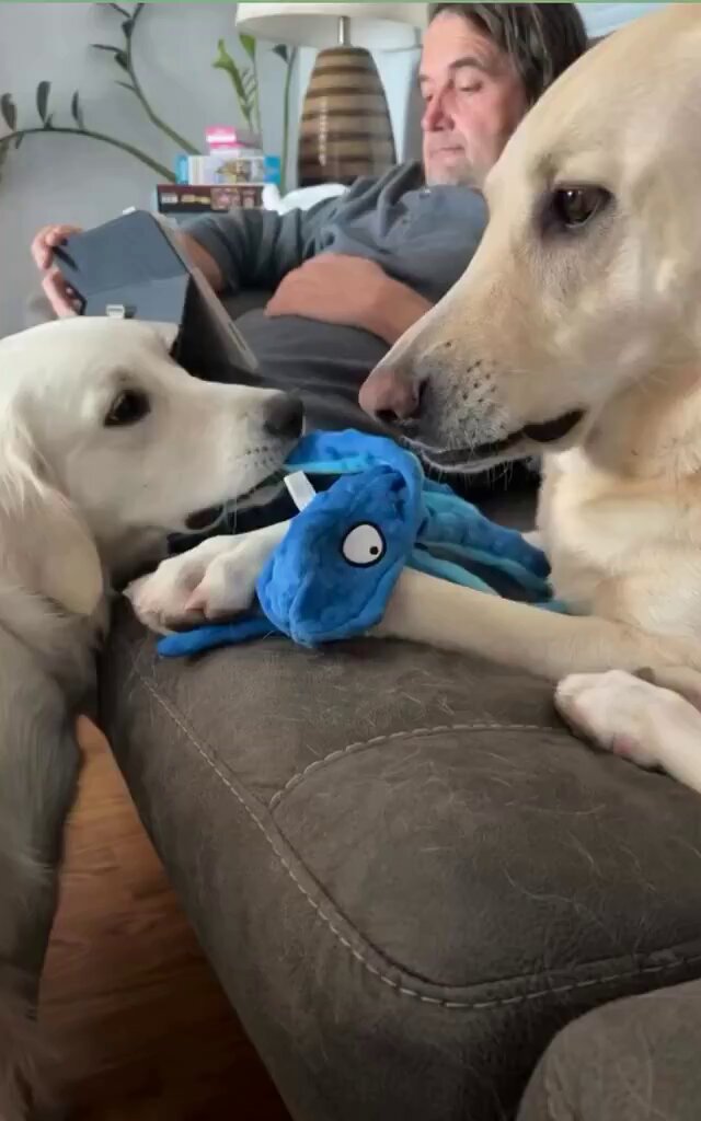 Superb technique to divert attention. 