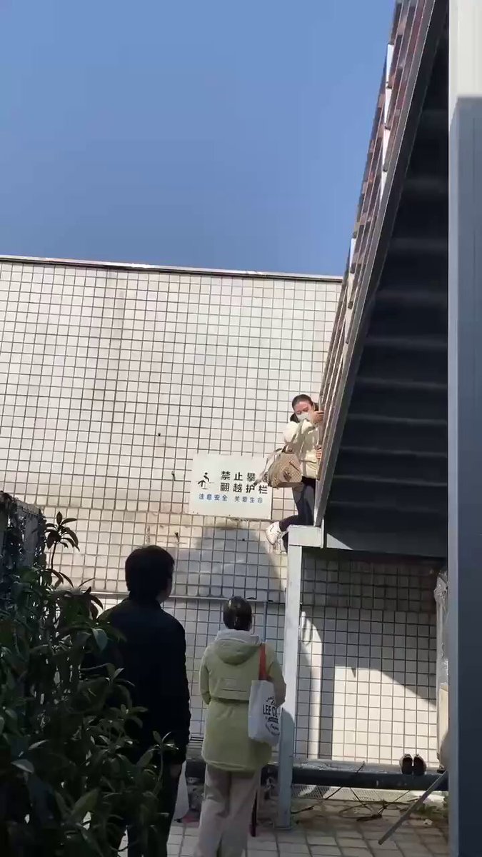 Embedded video