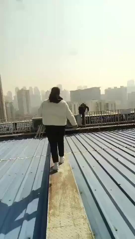 Embedded video