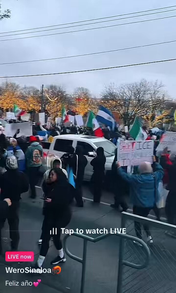 手持外国国旗的人们在达拉斯游行，要求川普政府不要驱逐非法移民。

