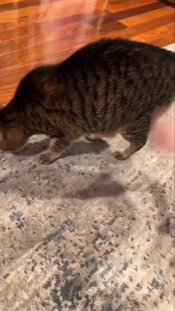 Luana 🌙 (@luanachan_01) / Posts / X