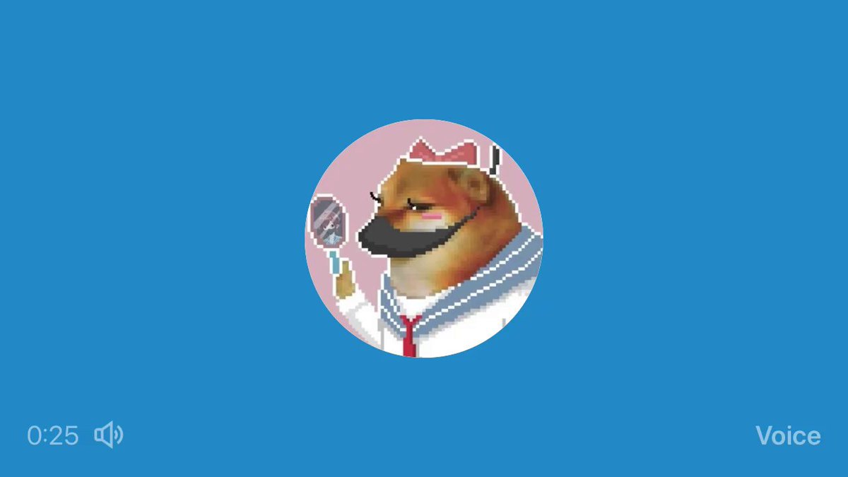 媒体预览