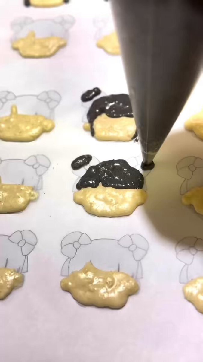 macaron - Search / X