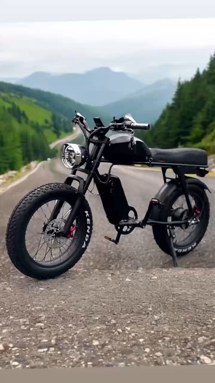 T TOMS 電動アシスト自転車 ブラック トーマスストリート 73系モペット