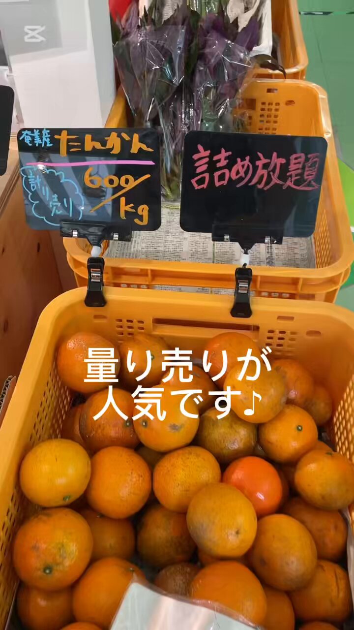 たんかん - Search / X