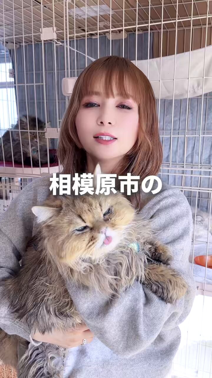 まめまめ (@erimimamemame) / X