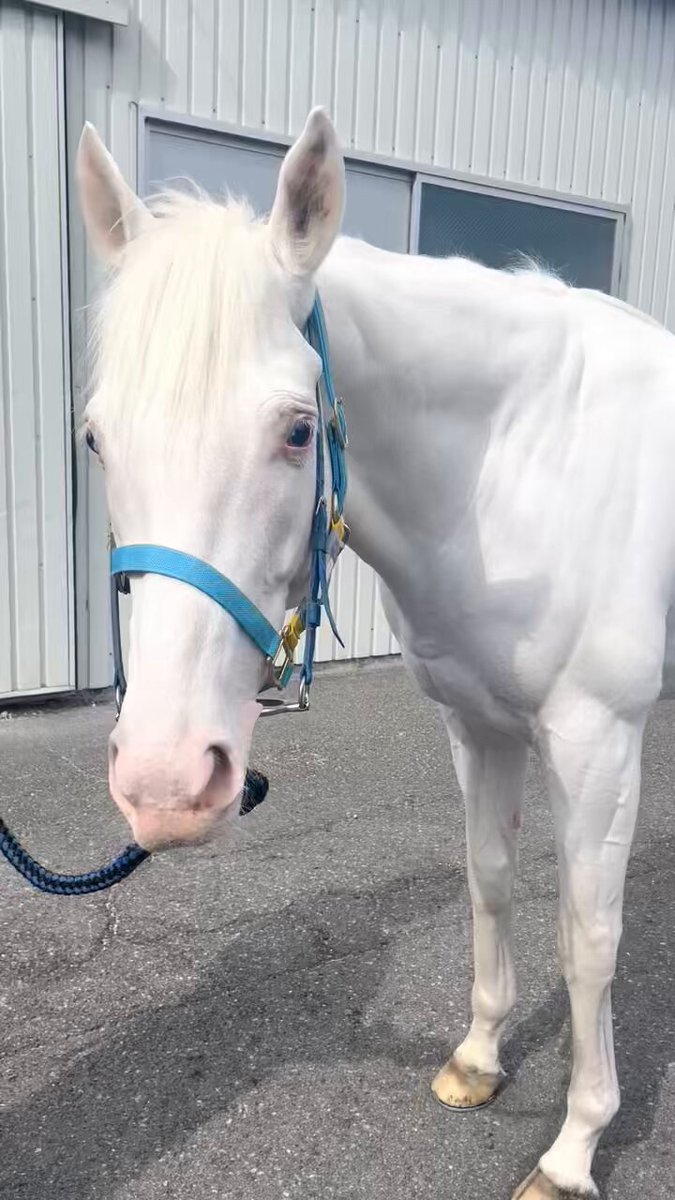 ひなの🩵 (@Hinatan0204) / Posts / X