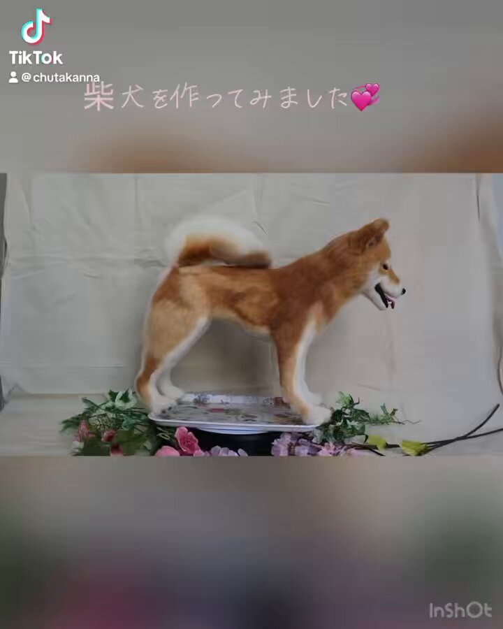 かんな (@KANNAstudyingFX) / X