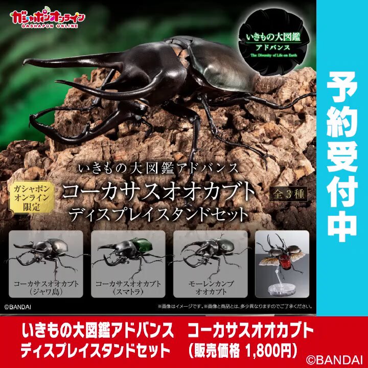 いきもの大図鑑アドバンス ヘラクレスオオカブト ディスプレイ