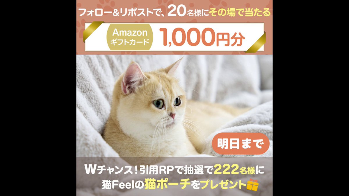 ファッション通販のニッセン on X: 